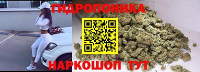 эйфоретик Нальчик