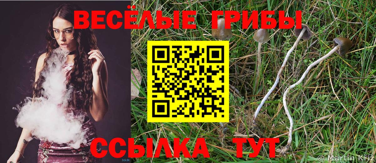 Галлюциногенные грибы Psilocybine cubensis Туймазы