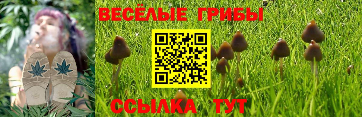Туймазы  наркотики  Вход с VPN  Псилоцибиновые грибы мухоморы 